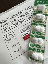 ✿*:･ﾟ3回目コロナワクチン接種&今週末お寺ヨガ⁽⁽ଘ( ˊᵕˋ )ଓ⁾⁾ ✿*:
