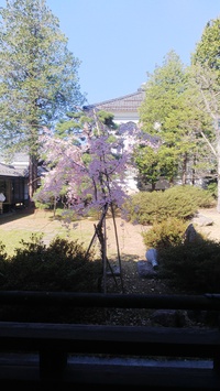 ✿*:･ﾟ4月第2日曜日 お寺ヨガご参加ありがとうございます⁽⁽ଘ( ˊᵕˋ )ଓ⁾⁾ ✿*:
