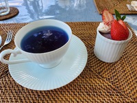 ✿*:･ﾟのらcafé ランチ&ヨガご参加ありがとうございます⁽⁽ଘ( ˊᵕˋ )ଓ⁾⁾ ✿*: