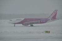 ２月２日　新千歳空港にて　Peach