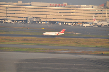 １１月２２日　羽田空港にて⑪