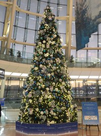 羽田空港のクリスマスツリー