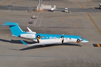 １２月２０日　羽田空港にて④　飛行機　珍客