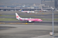 ４月４日羽田空港にて　ＪＴＡ編