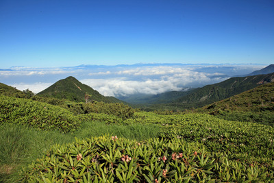 八ヶ岳横岳より　赤岳と富士山展望　2014-夏　「信州山の日」