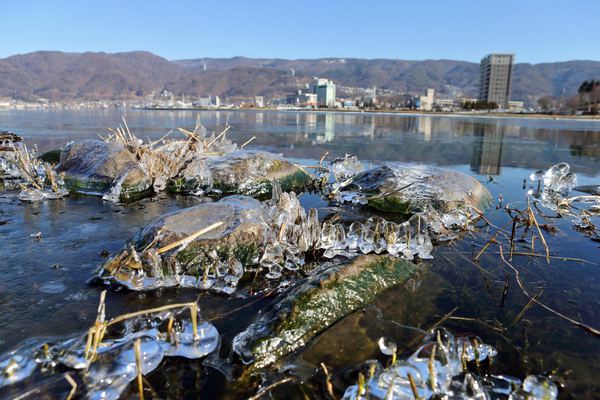 信州　諏訪湖　氷始める湖岸　いよいよ冬到来