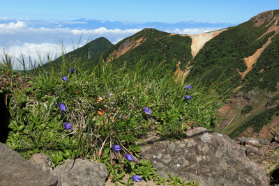 八ヶ岳横岳より　赤岳と富士山展望　2014-夏　「信州山の日」