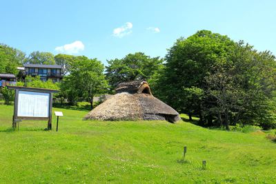 井戸尻遺跡　スイレンが咲きだしました　2021　富士見町