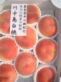 川中島白桃・・・・・信州の晩夏の銘桃