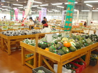 「瓜」アレコレ・・・・夏場に思う。