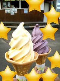 コスモス園と花火大会★
