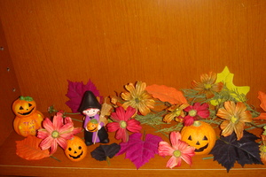 ☆pumpkin☆彡
