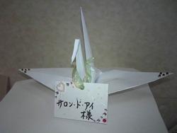 ☆welcome☆彡