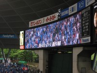 オーロラビジョン