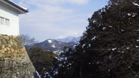 彦根城です