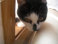 ♪Happy St Valentine's Day♪