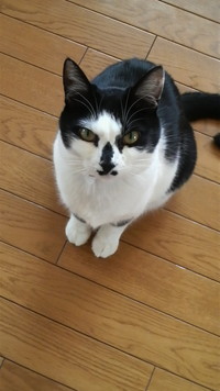 ユウ兄ちゃん！元気!?