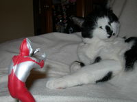 ☆ウルトラマン☆vs ＳＥＡＭＯ