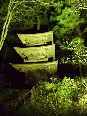 お花見　光前寺