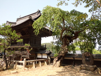 蔵沢寺