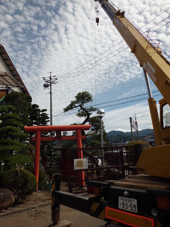 御神木の植え替え