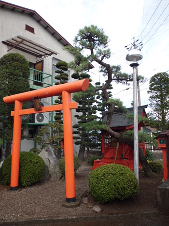 御神木の植え替え