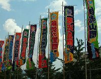 大相撲松本場所