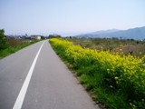 飯山城跡へ