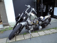 ハーレー登場！