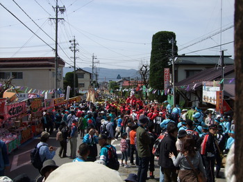 諏訪大社　下社　里曳き祭２日目。
