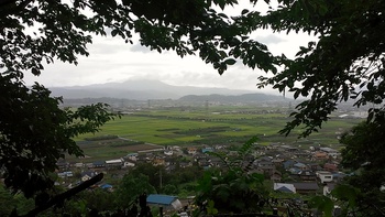 栗が転がる