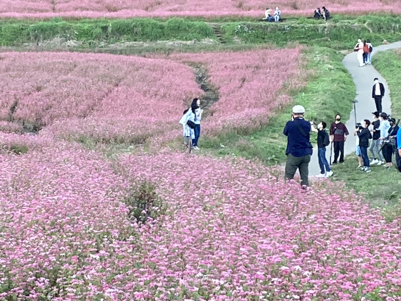 この芸人さんたちはどちらさまかな？？？