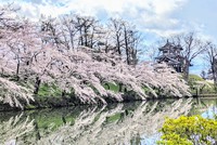 気のトレーニング ☆ 令和とは「気を導きて和せしむ」こと～自宅で出来る呼吸法・導引で、免疫力を高め元気に過ごそう！