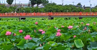 PHPからだスマイル8月号掲載！早島妙聴学長 健康コラム Vol.3 ～疲れをとる「気」のパワー