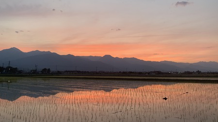 夕景