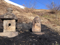 起動の春