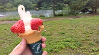 激変の蓼科湖！！　道の駅「ビーナスライン蓼科湖」でいちごソフトクリーム！