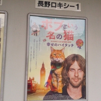 中尾山温泉／松仙閣駐車場で猫をみました／２４年１月２１日