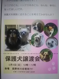 ポチの会／譲渡会６月９日川合新田で開催