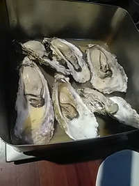 牡蠣のカンカン焼き／牡蠣の店・備後／長野市南千歳／２４年１月１３日