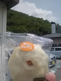 信濃製菓のおやき／湯～ぱれあ農産物直売所／２４年６月８日