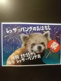 サマーナイトＺＯＯ／２３年２回目／８月１４日