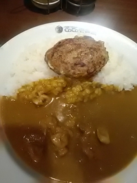 チキンカレー＆ハンバーグ／ＣｏＣｏ壱番屋大豆島店／２４年５月３１日