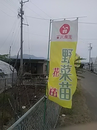 若穂の宮沢農園／５月２６日まで春の特売開催中