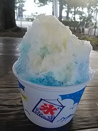 かき氷とおやき／合戦茶屋・龍虎／川中島古戦場内／２３年８月２０日