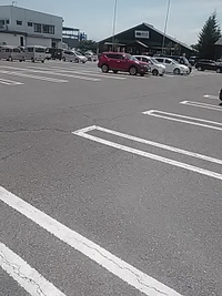 トナラーと遭遇／２４年６月１５日午後１時頃
