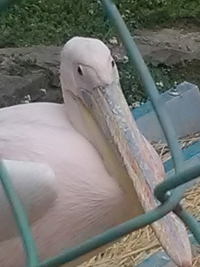 ２４年４月２７日の城山動物園その３