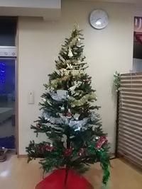 クリスマス仕様の湯～ぱれあ／２３年１２月５日