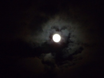13夜