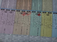 東京優駿'15
